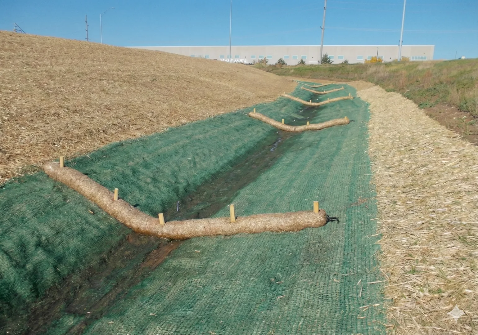 service single images