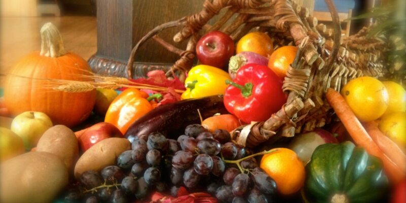 BestFallFruitsandVegetables - Four Seasons Landscaping Yorkville, IL