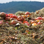 Composting - Four Seasons Landscaping Yorkville, IL