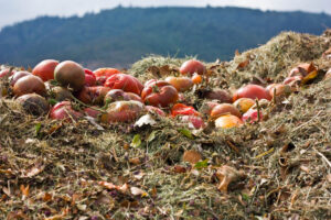 Composting - Four Seasons Landscaping Yorkville, IL