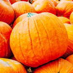 FallVegetables - Four Seasons Landscaping Yorkville, IL