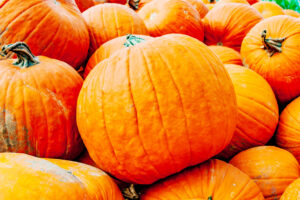 FallVegetables - Four Seasons Landscaping Yorkville, IL