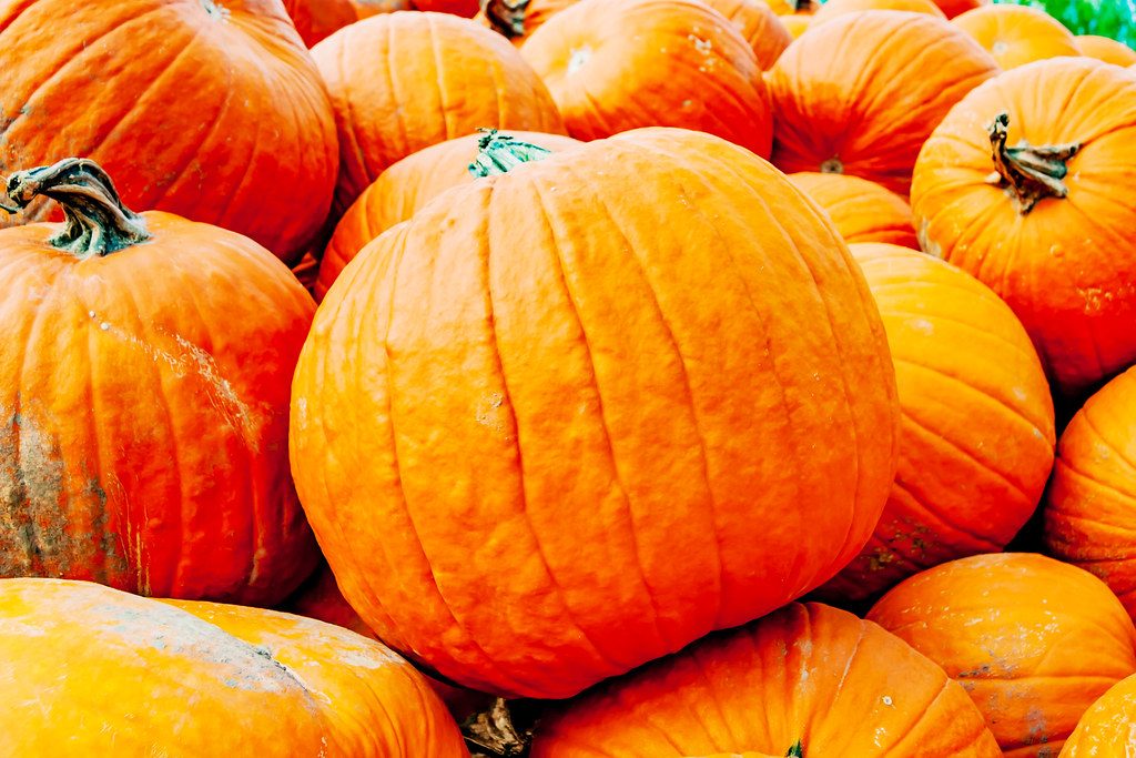 FallVegetables - Four Seasons Landscaping Yorkville, IL