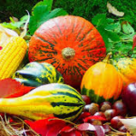 Fallfruits - Four Seasons Landscaping Yorkville, IL