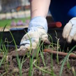 GardeningforyourHealth - Four Seasons Landscaping Yorkville, IL