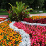 NewYearNewYard - Four Seasons Landscaping Yorkville, IL