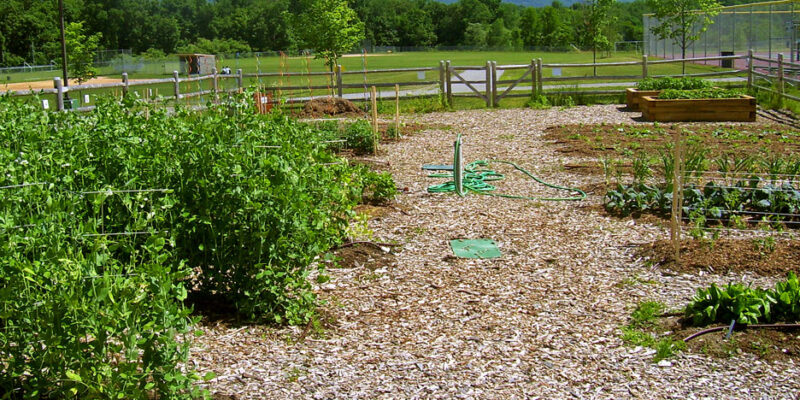 OrganicGarden - Four Seasons Landscaping Yorkville, IL