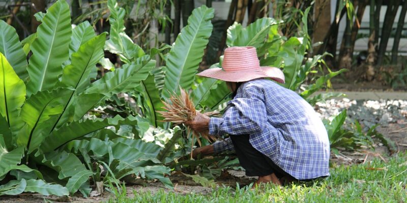 Pruning - Four Seasons Landscaping Yorkville, IL