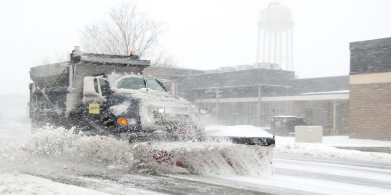 SaltDamage - Four Seasons Landscaping Yorkville, IL