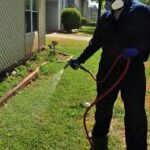 SprayingforWeeds - Four Seasons Landscaping Yorkville, IL