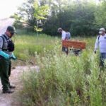 SprayingforWeeds - Four Seasons Landscaping Yorkville, IL