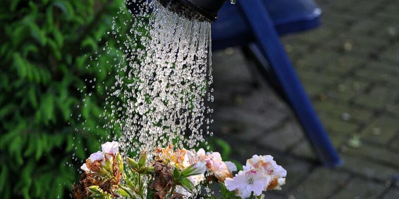 WateringPlants - Four Seasons Landscaping Yorkville, IL