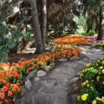 Beautifulgarden - Four Seasons Landscaping Yorkville, IL