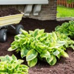 Dollarphotoclub - Four Seasons Landscaping Yorkville, IL