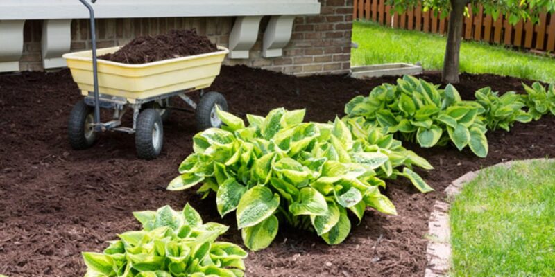 Dollarphotoclub - Four Seasons Landscaping Yorkville, IL