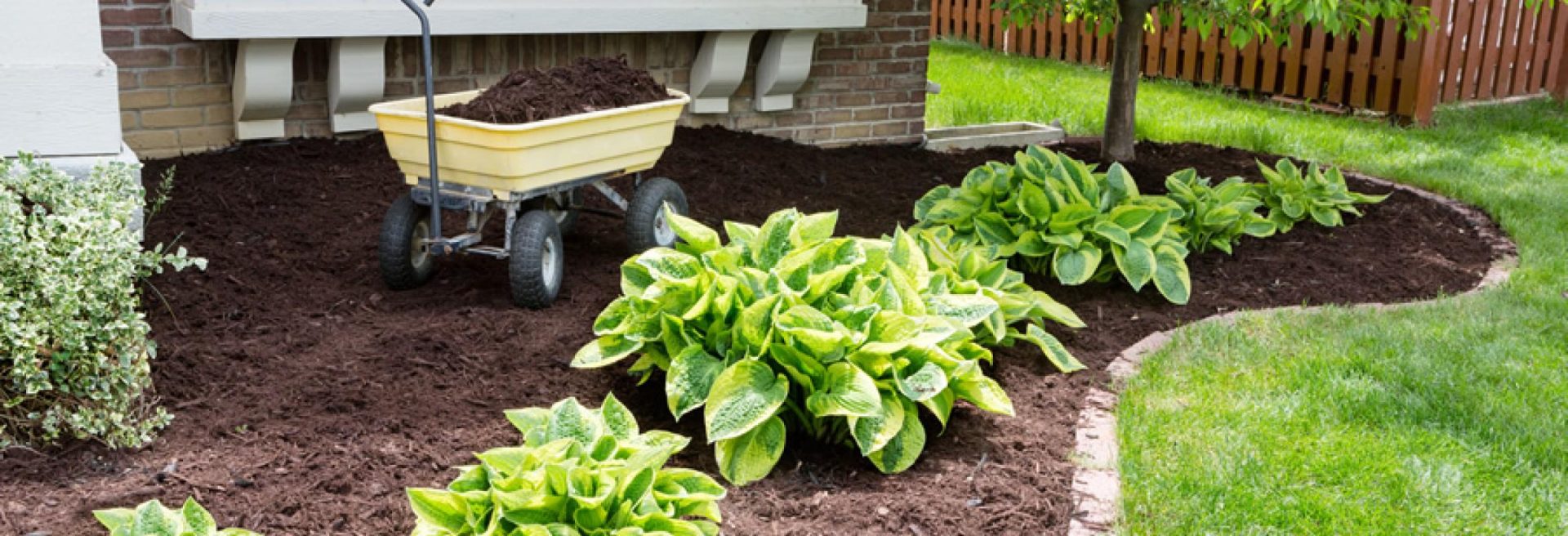 Dollarphotoclub - Four Seasons Landscaping Yorkville, IL