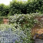 Hard Softscape - Four Seasons Landscaping Yorkville, IL