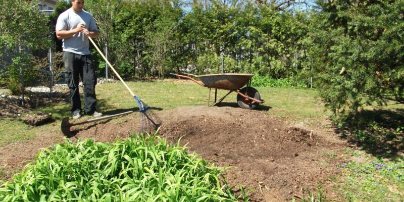 Lawn Seeding - Four Seasons Landscaping Yorkville, IL