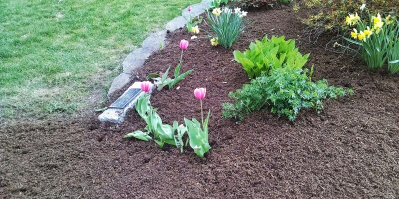 Mulch - Four Seasons Landscaping Yorkville, IL