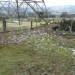 Waterinyard - Four Seasons Landscaping Yorkville, IL