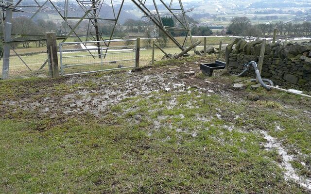 Waterinyard - Four Seasons Landscaping Yorkville, IL