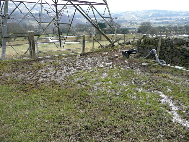 Waterinyard - Four Seasons Landscaping Yorkville, IL