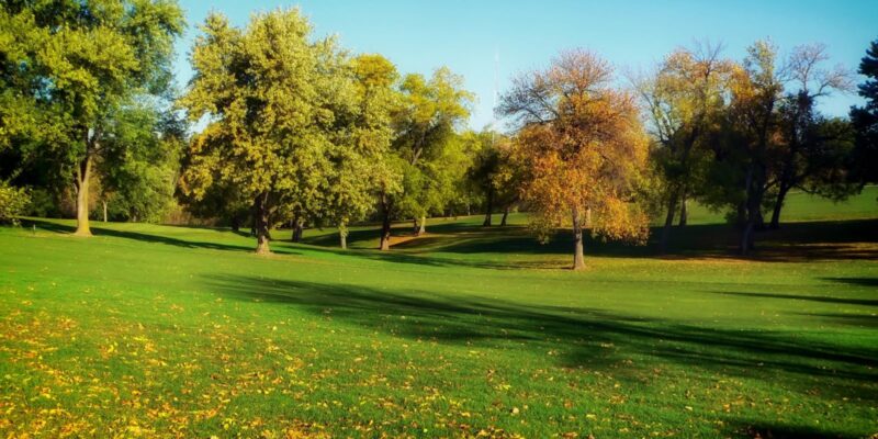 Winterprep - Four Seasons Landscaping Yorkville, IL